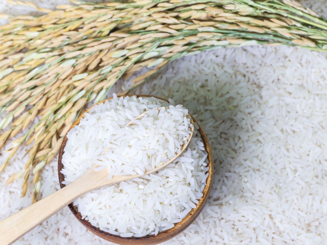 Riz Lidl sous surveillance : les dangers des substances détectées