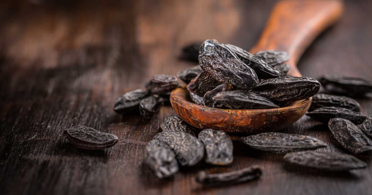 Tout savoir sur la fève tonka et ses applications culinaires