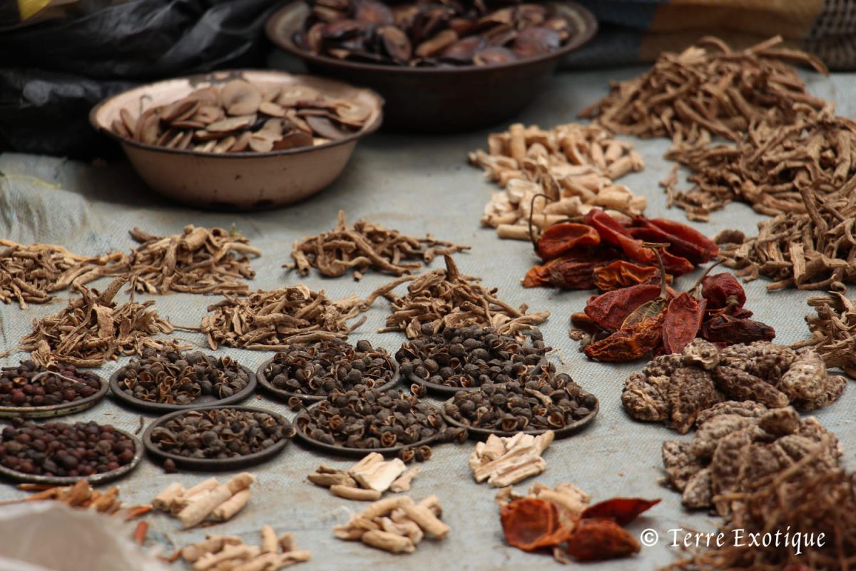 Comment choisir les épices idéales pour sublimer vos plats