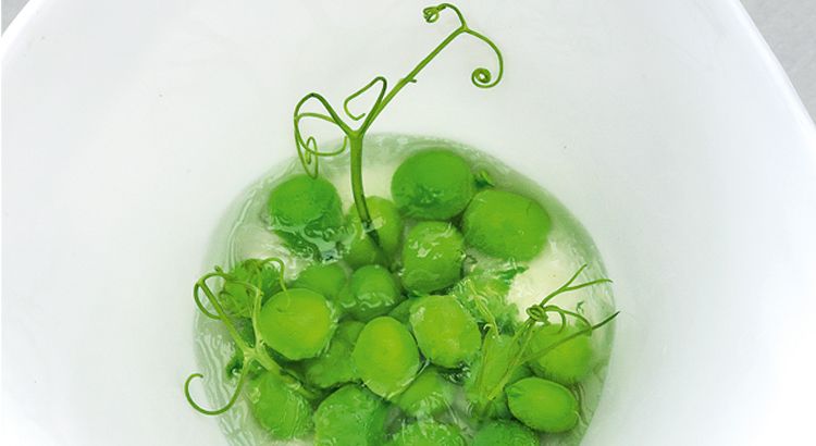 un délice inattendu : petits pois en gelée