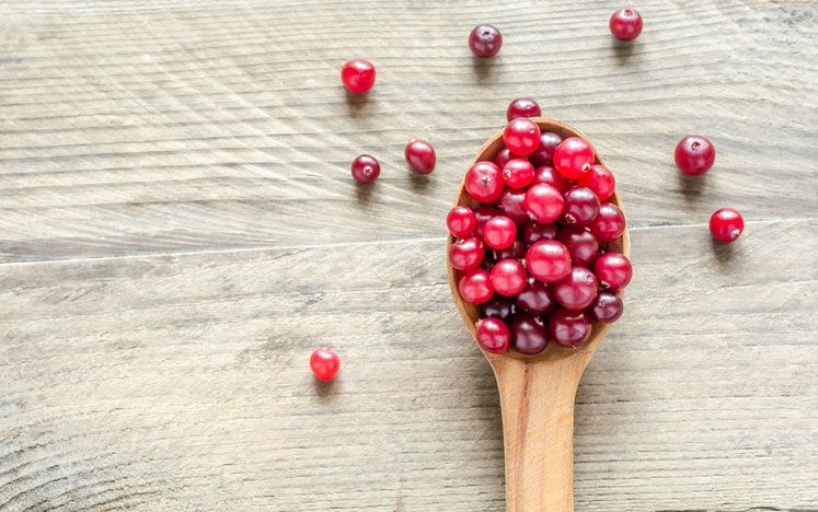 Les cranberries, un atout contre les bactéries résistantes