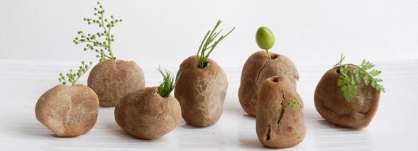 Quand le design culinaire se met à table