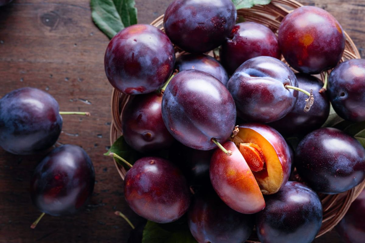 Les secrets pour bien congeler des prunes