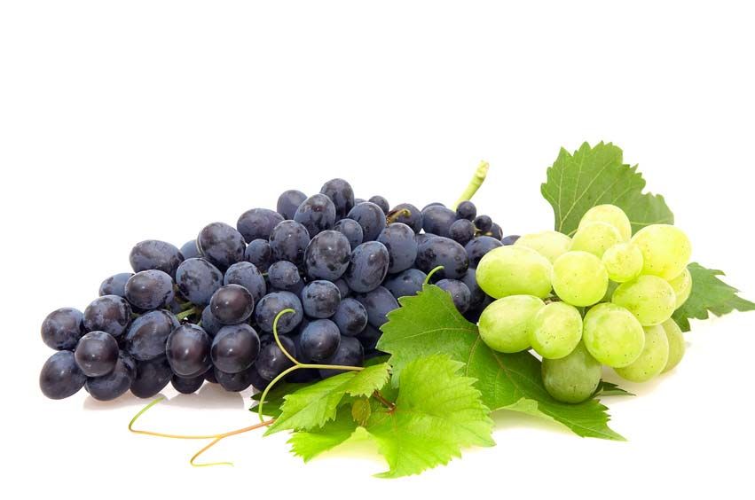 Le raisin : le fruit de la vitalité pour un automne tonique