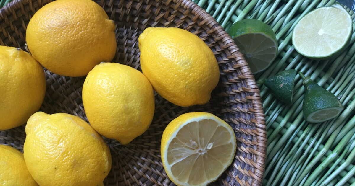 Le citron : l'agrume incontournable pour sublimer vos recettes