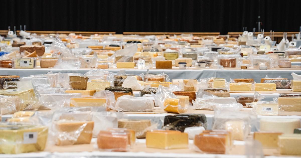 Le fromage suisse sacré meilleur du monde lors des World Cheese Awards