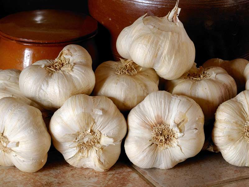 L'ail, le super-aliment qui chouchoute votre cœur