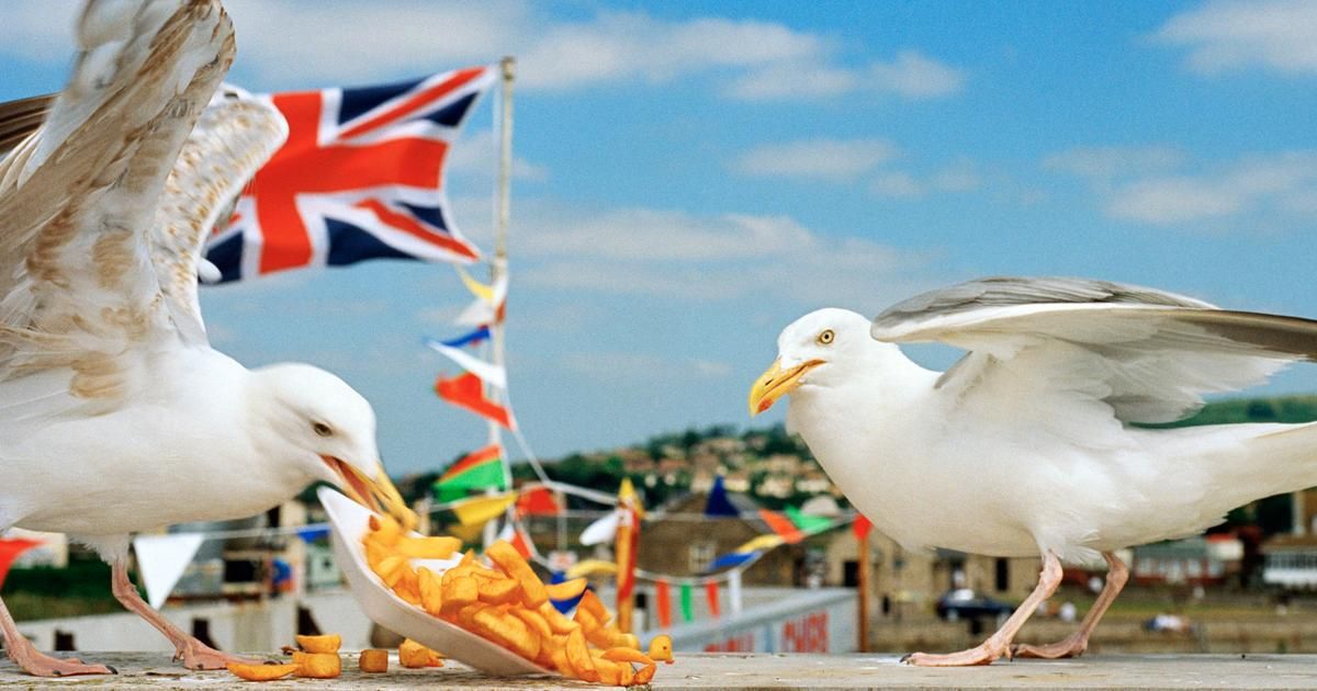Une semaine gourmande : Martin Parr et les nouvelles tendances culinaires