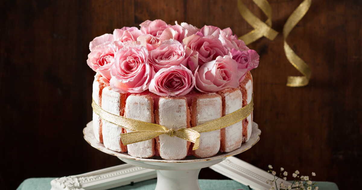 Un trésor botanique : Charlotte à la rose