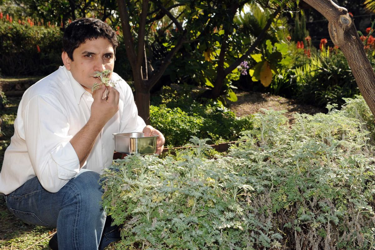 Mauro Colagreco : le chef dont le parcours inspire