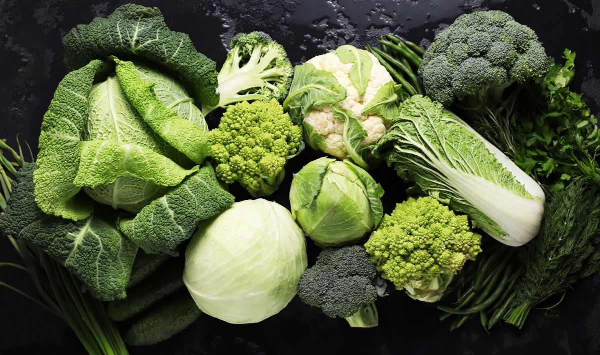 les secrets d'une alimentation pour booster votre santé cérébrale