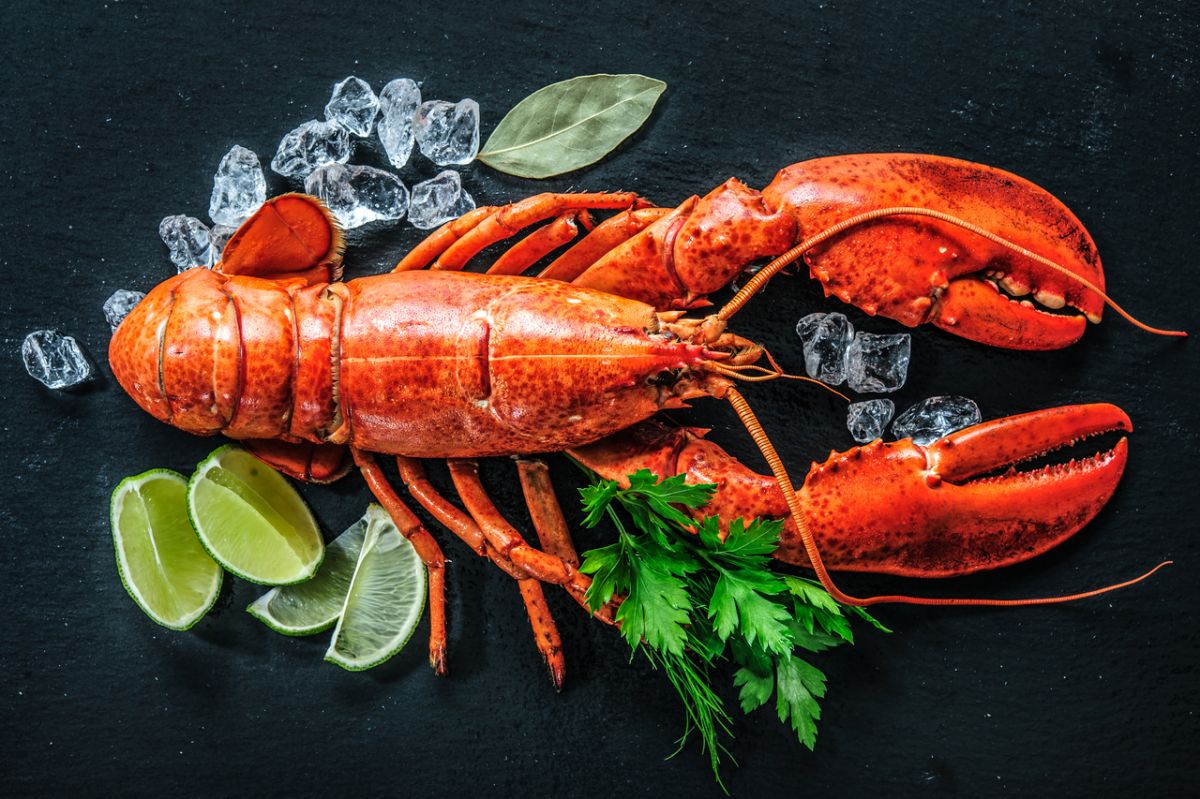 Des toxines inquiétantes dans certains fruits de mer : ce que vous devez savoir