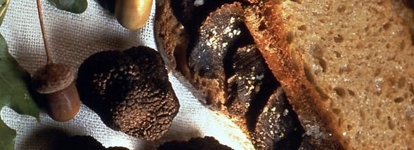 Miam n° 5 : Découvrez le sandwich à la truffe de Michel Rostang