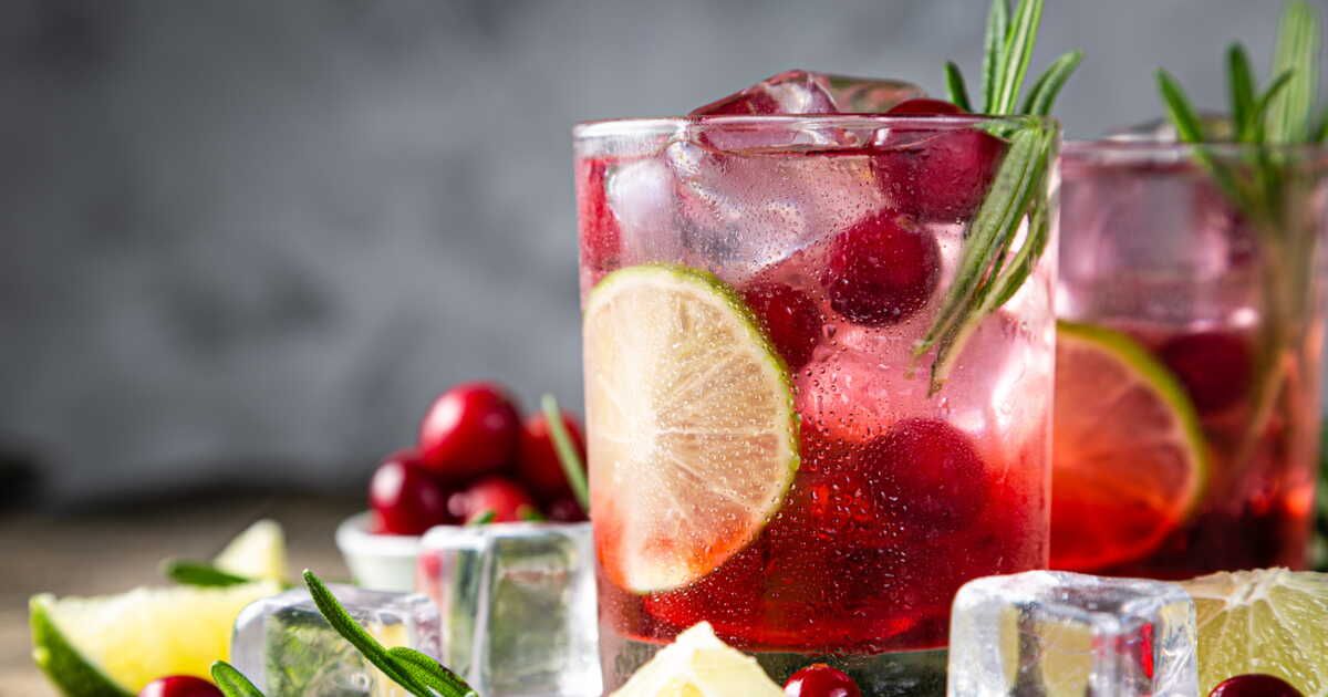 Tout savoir sur la cranberry