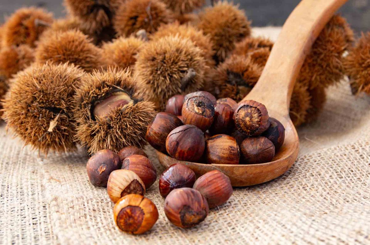 5 astuces pour conserver vos châtaignes tout au long de l'année